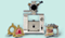Denture Equipment - Palajet®